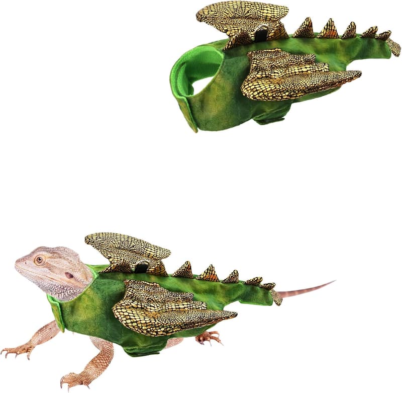 Halloween Dinosaur Costume for Small Dogs and Cats - Green