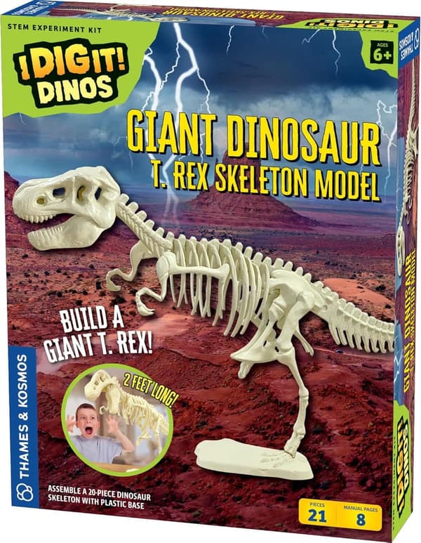 T. Rex Skeleton Model for STEM Learning | 26-Inch Build
