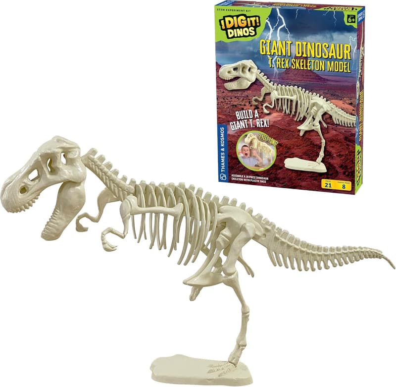 T. Rex Skeleton Model for STEM Learning | 26-Inch Build