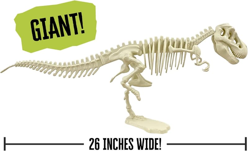 T. Rex Skeleton Model for STEM Learning | 26-Inch Build