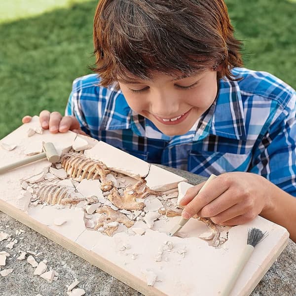 Tyrannosaurus Rex Digging Kit for Kids