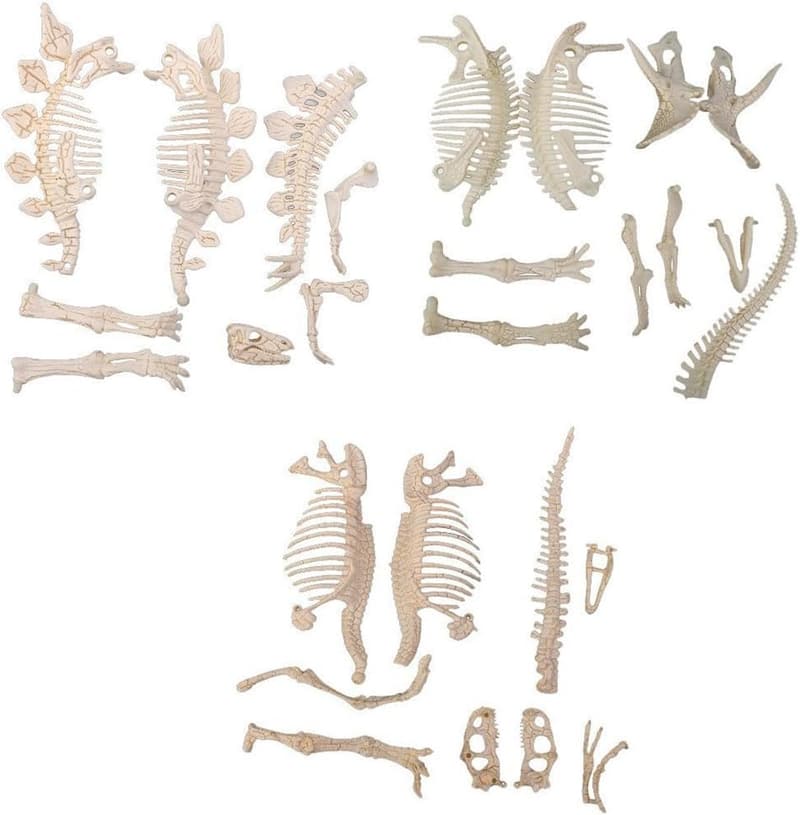 DIY 4D Dinosaur Fossil Skeleton Toy Set for Kids