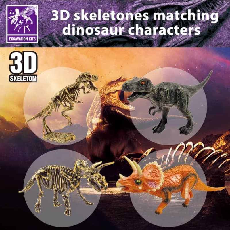 Educational Dinosaur Fossil Dig Kit for Kids with 3D Skeletons