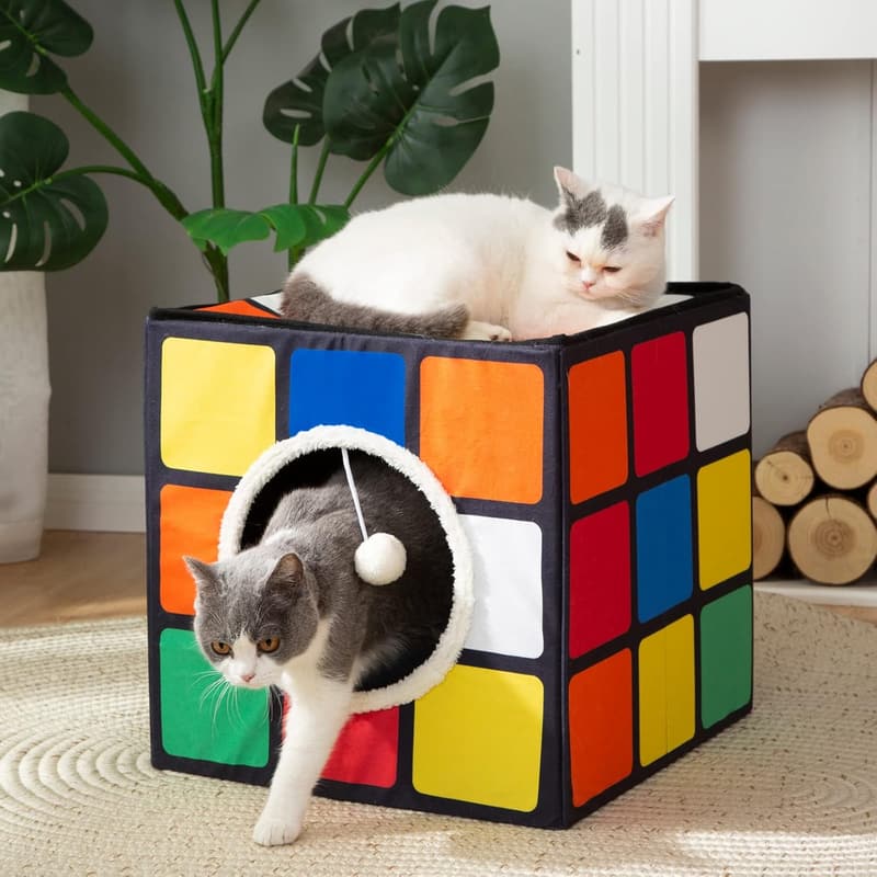 Indoor Cat Condo with Reversible Cushions & Hanging Fluffy Ball