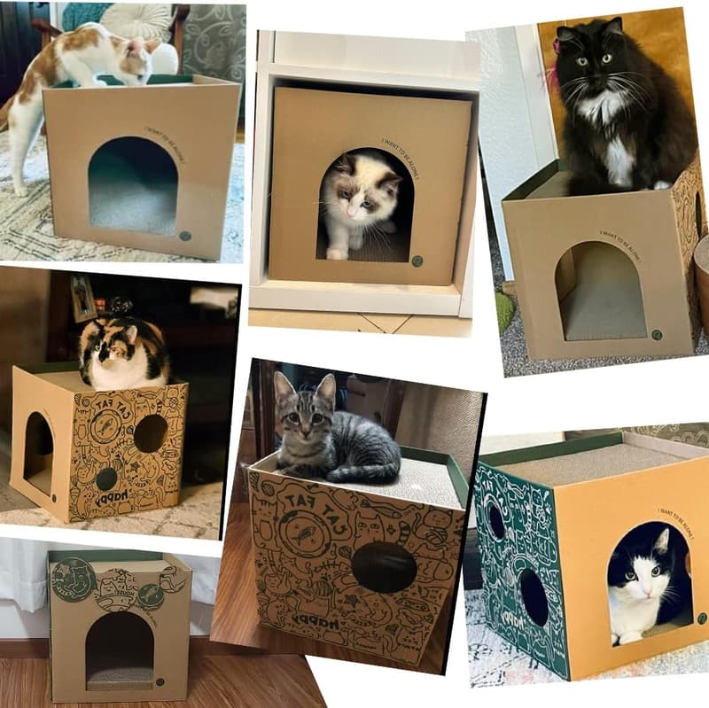 Indoor Cat Playhouse with 2-Story Scratch Pads - Corrugated Box