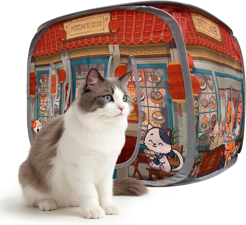 Indoor Cat Pop-Up Tent House with Catnip Toy - Mochi’s Dim Sum Palace