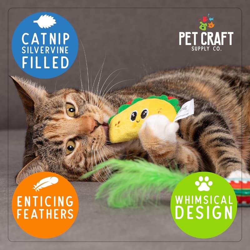 Interactive Catnip & Silvervine Toys for Indoor Cats (Pack of 2)