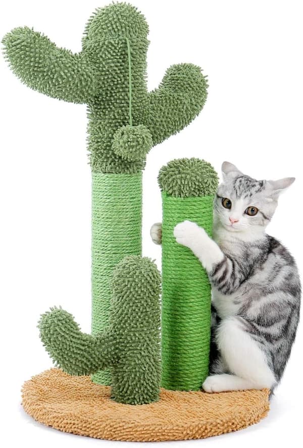 Cactus Cat Scratcher with 3 Poles & Dangling Ball - 23 Inches