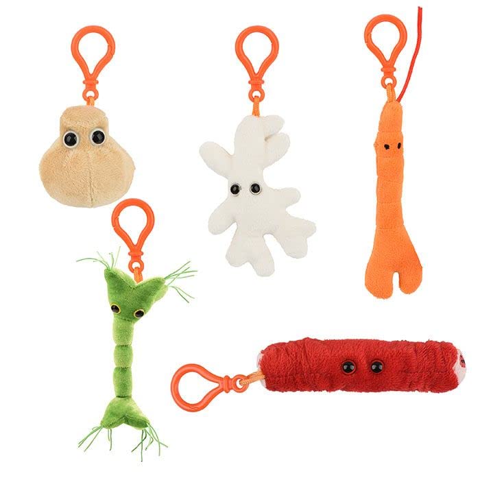 Cell Biology Plush Gift Box – Science Teacher Gift