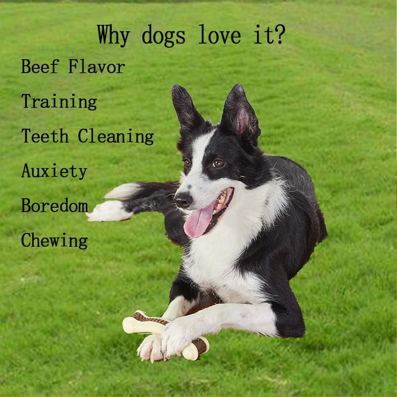 Indestructible Beef Flavor Chew Toys for Aggressive Chewers