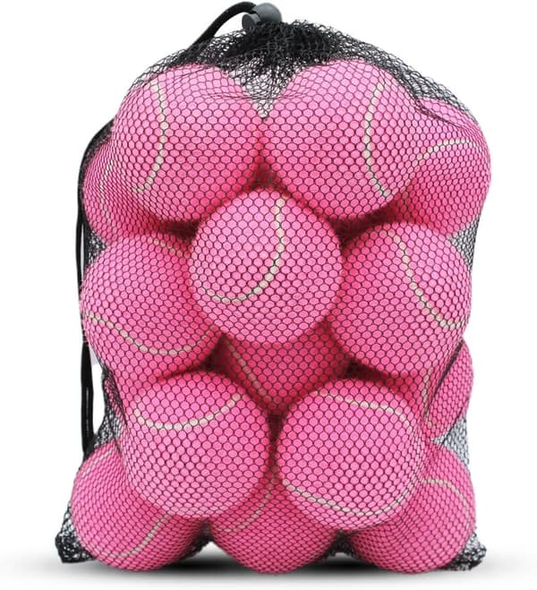 High Elasticity Training Tennis Balls 20-Pack for Beginners and Pets