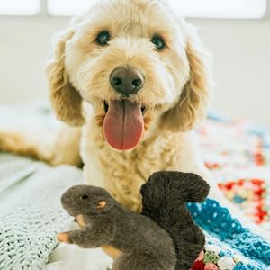 Classic Squirrel Pet Toy for Small Dogs and Cats