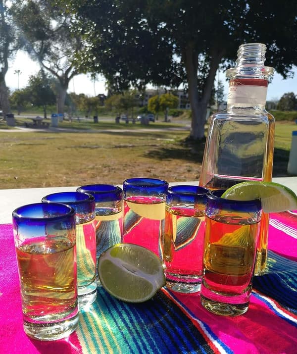Cobalt Blue Rim Hand Blown Tequila Shot Glasses - Set of 6