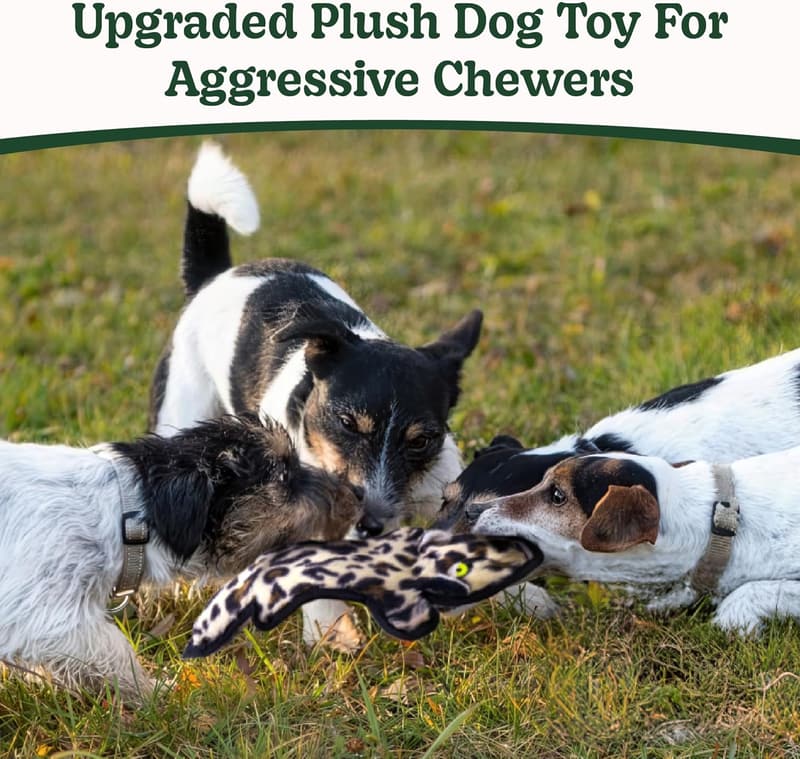 Durable Crinkle Squeaky Dog Toy for Aggressive Chewers