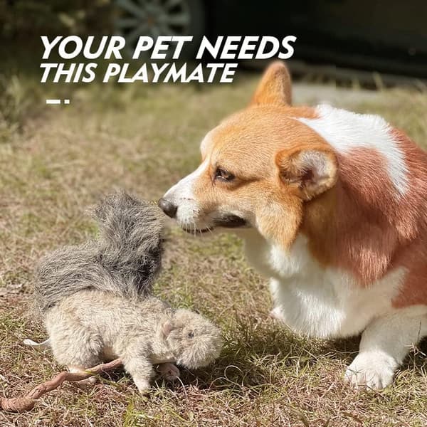Squeaky Plush Dog Toy for Teething Small Dogs