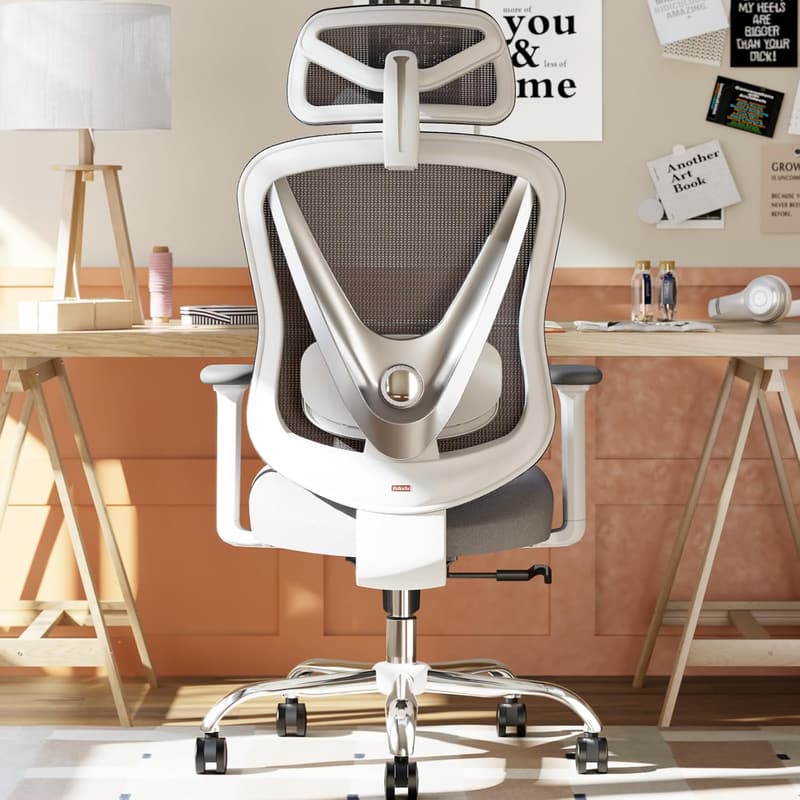Ergonomic Office Chair with 3D Lumbar Support & Adjustable Armrests