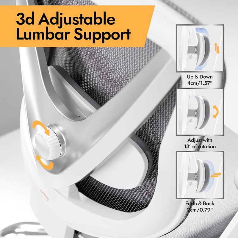 Ergonomic Office Chair with 3D Lumbar Support & Adjustable Armrests