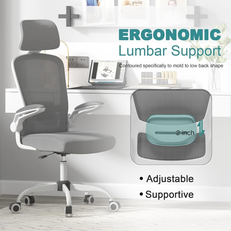 Ergonomic Office Chair with Adjustable Lumbar Support & Headrest