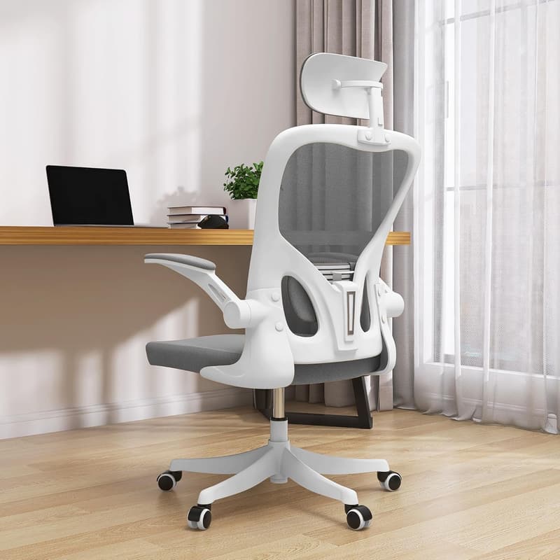 Ergonomic Office Chair with Lumbar Support & Headrest