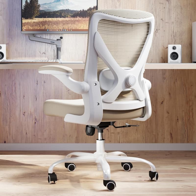 Ergonomic Office Chair with Lumbar Support for Long Hours