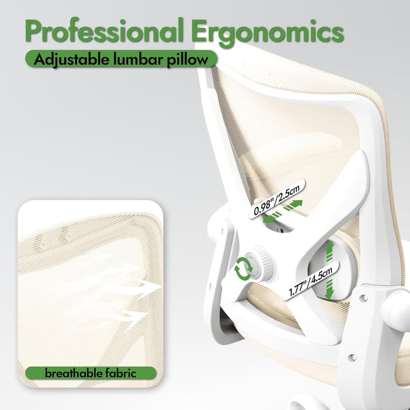 Ergonomic Office Chair with Lumbar Support for Long Hours