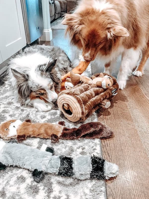 Squeaky Plush Dog Toys for Boredom - Unstuffed Variety Pack