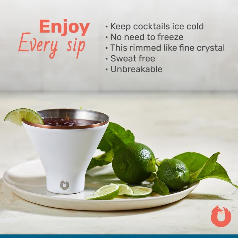 Premium Insulated Stainless Steel Martini Glass Set, 8 oz