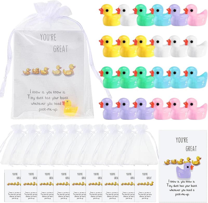 Inspirational Coworker Thank You Gift Set - 24 Mini Resin Ducks