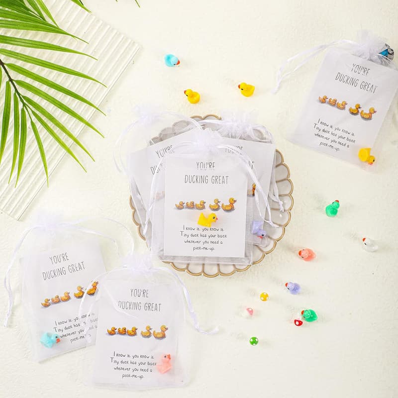Inspirational Coworker Thank You Gift Set - 24 Mini Resin Ducks