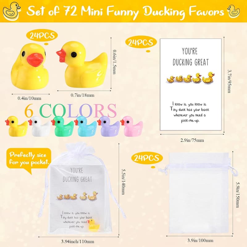 Inspirational Coworker Thank You Gift Set - 24 Mini Resin Ducks