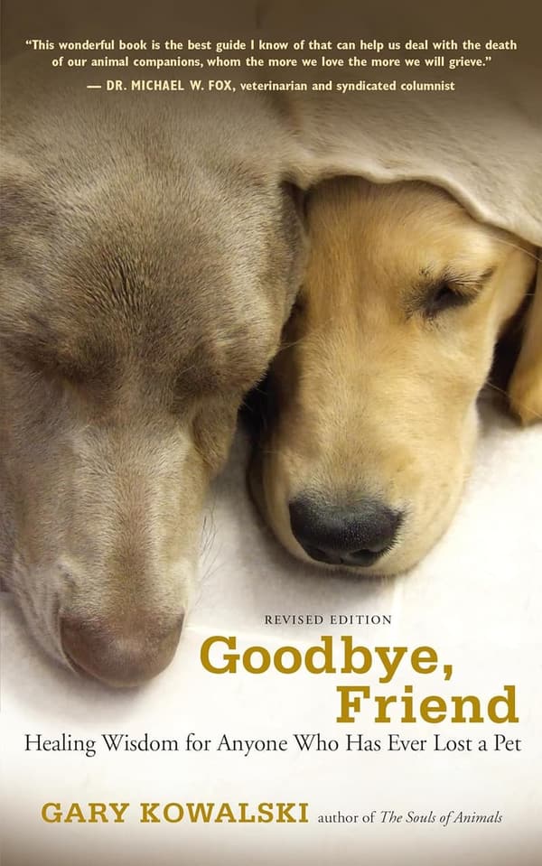 Healing Wisdom for Anyone Who Has Lost a Pet