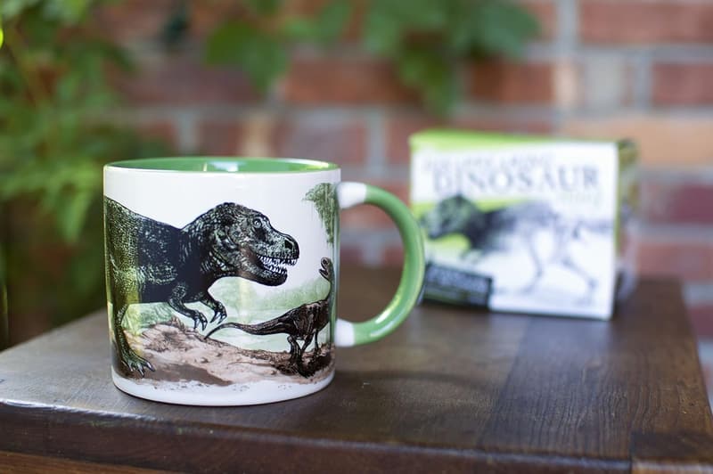 Color Changing Disappearing Dino Mug - 12 fl oz
