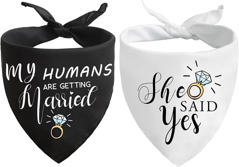 Wedding Engagement Dog Bandana Set for Pet Lovers
