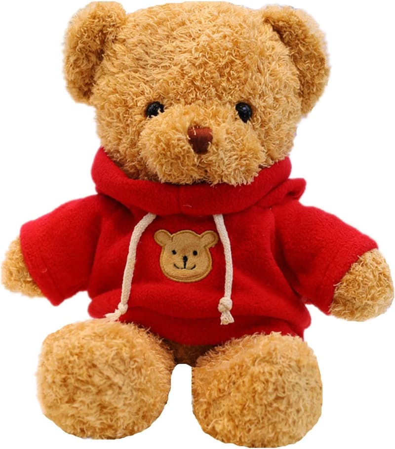 Plush Teddy Bear with Hoodie for Boys and Girls (11.8 inches)