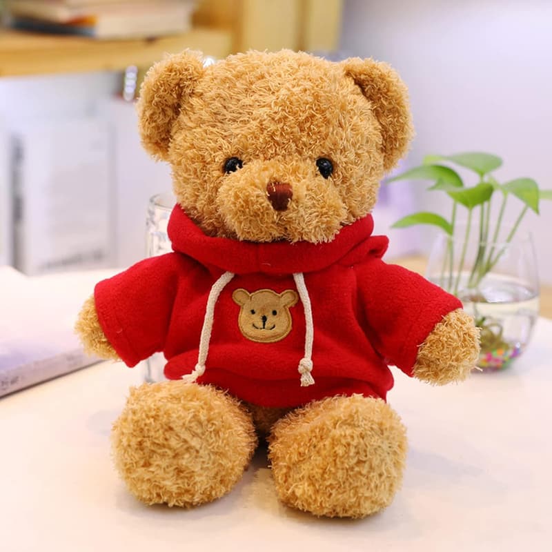 Plush Teddy Bear with Hoodie for Boys and Girls (11.8 inches)