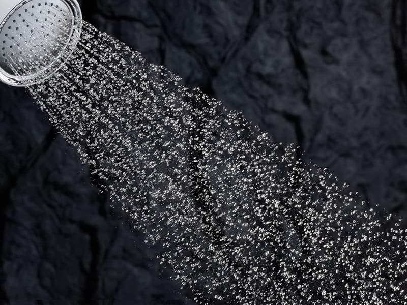 Polished Chrome Fixed Showerhead by KOHLER