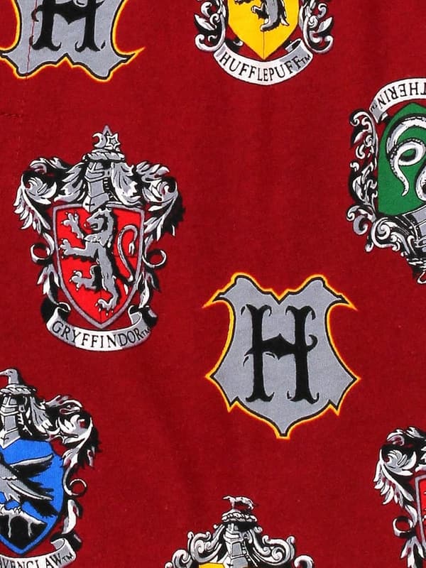 Men's Harry Potter Hogwarts Houses Boxer Shorts