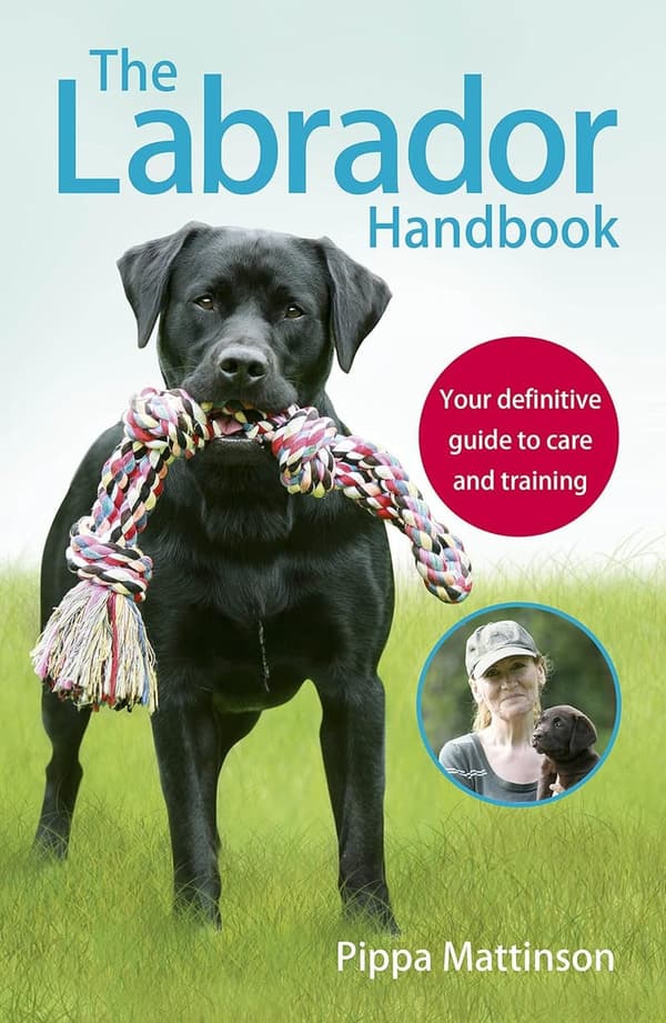 Labrador Care & Training Handbook: Your Complete Guide