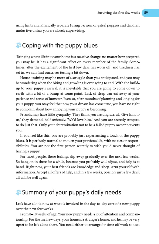 Labrador Care & Training Handbook: Your Complete Guide
