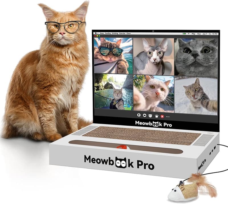 Interactive 3-in-1 Cat Scratcher Toy with Jingle Ball