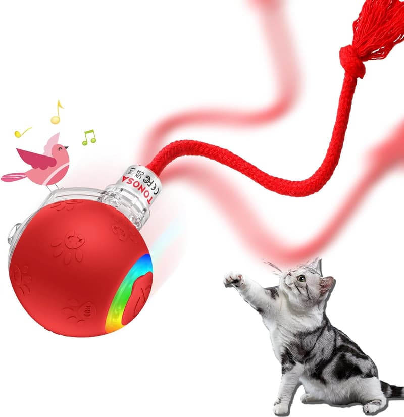Motion-Activated Interactive Cat Toy with RGB Lighting