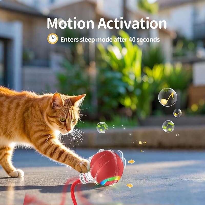 Motion-Activated Interactive Cat Toy with RGB Lighting