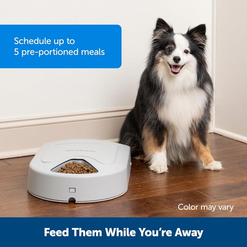Automatic Dog Feeder for Multiple Pets - 5 Meals, 40 oz Capacity