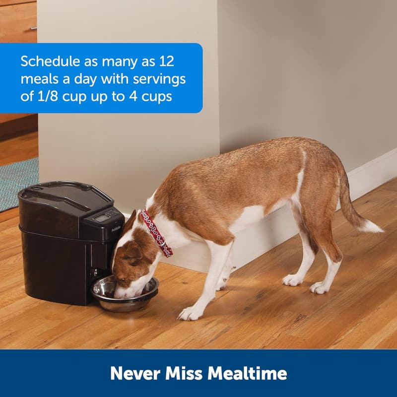 Automatic Pet Feeder with Programmable Portion Control - 24 Cups