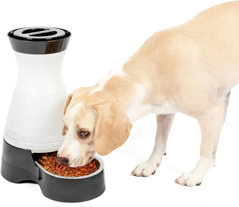 PetSafe Healthy Pet Food Station - Medium Gravity Feeder