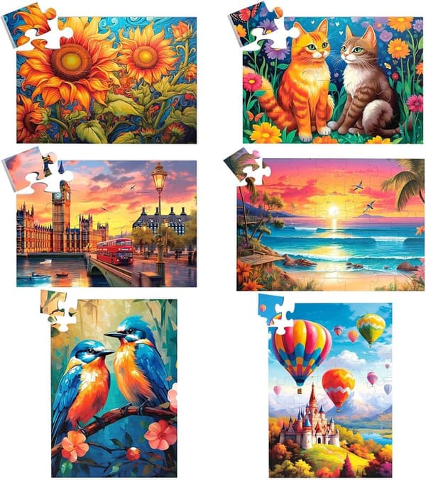 Large Piece Jigsaw Puzzles for Elderly with Storage Bags