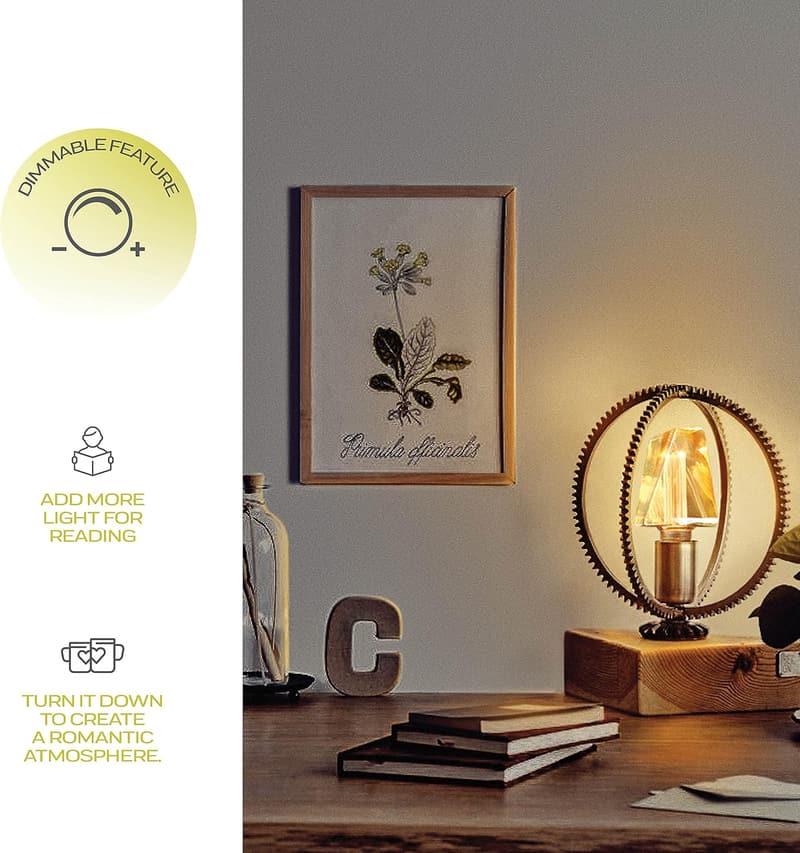Vintage Edison Style LED Bulb | Dimmable Warm White, 3.5W