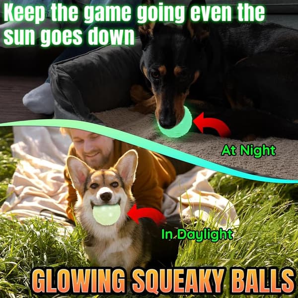 Glow in The Dark Dog Balls - 4-Pack Durable Fetch Toys