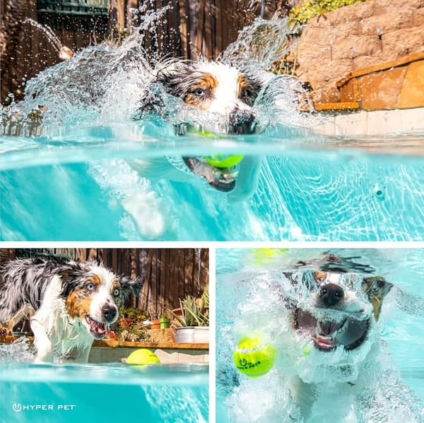 Dog Tennis Balls - 12 Pack, 2.5
