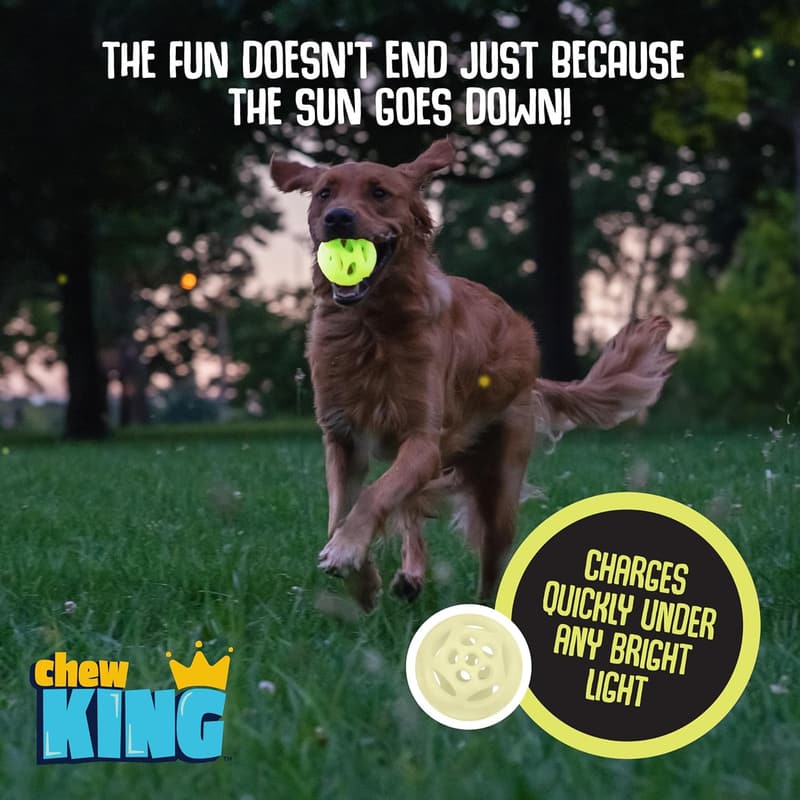 Glowing Fetch Balls for Dogs - Medium 2-Pack